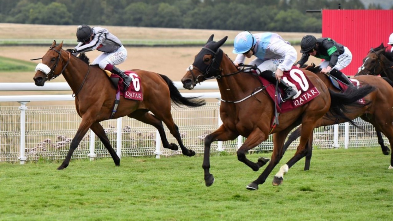 De Bromhead And Lee Scoring Memorable Goodwood Debut Image 1