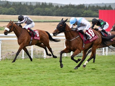 De Bromhead And Lee Scoring Memorable Goodwood Debut Image 1