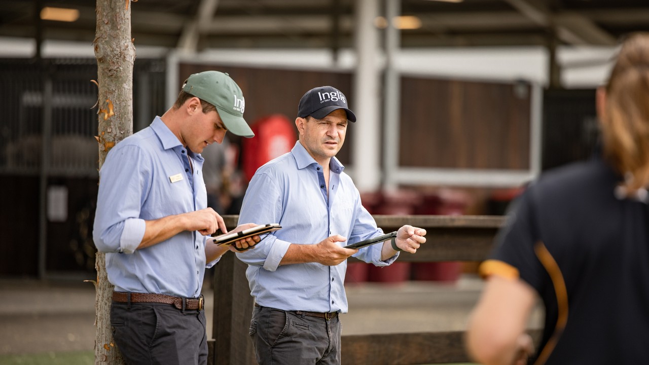 Mark Webster On Revolutionising Thoroughbred Sales Image 2