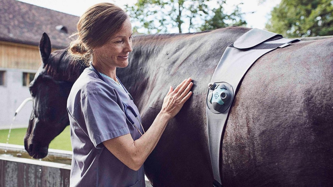 Equine Wearables Enhance Performance &amp; Safety Image 1