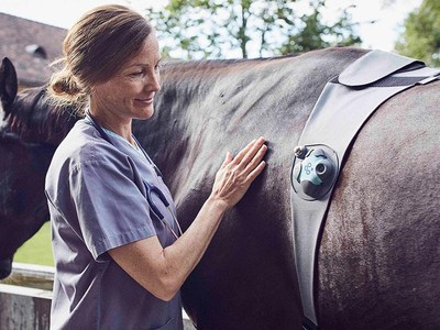 Equine Wearables Enhance Performance &amp; Safety Image 1