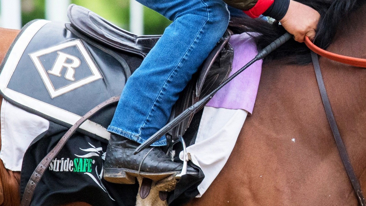 Equine Wearables Enhance Performance &amp; Safety Image 1