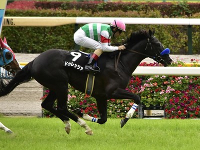 Japanese Raider Durezza Eyes Juddmonte Glory Image 1