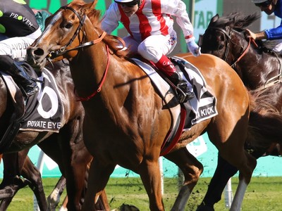 Everest Hero Giga Kick Nears Return After Year-Long Absence Image 1