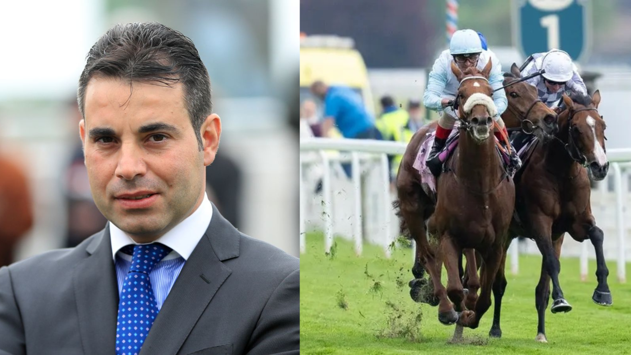 Botti Plots Giavellotto's Course For Irish St Leger Clash ... Image 1