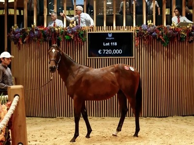 Arqana August Sale Set For Competitive Opener Image 1