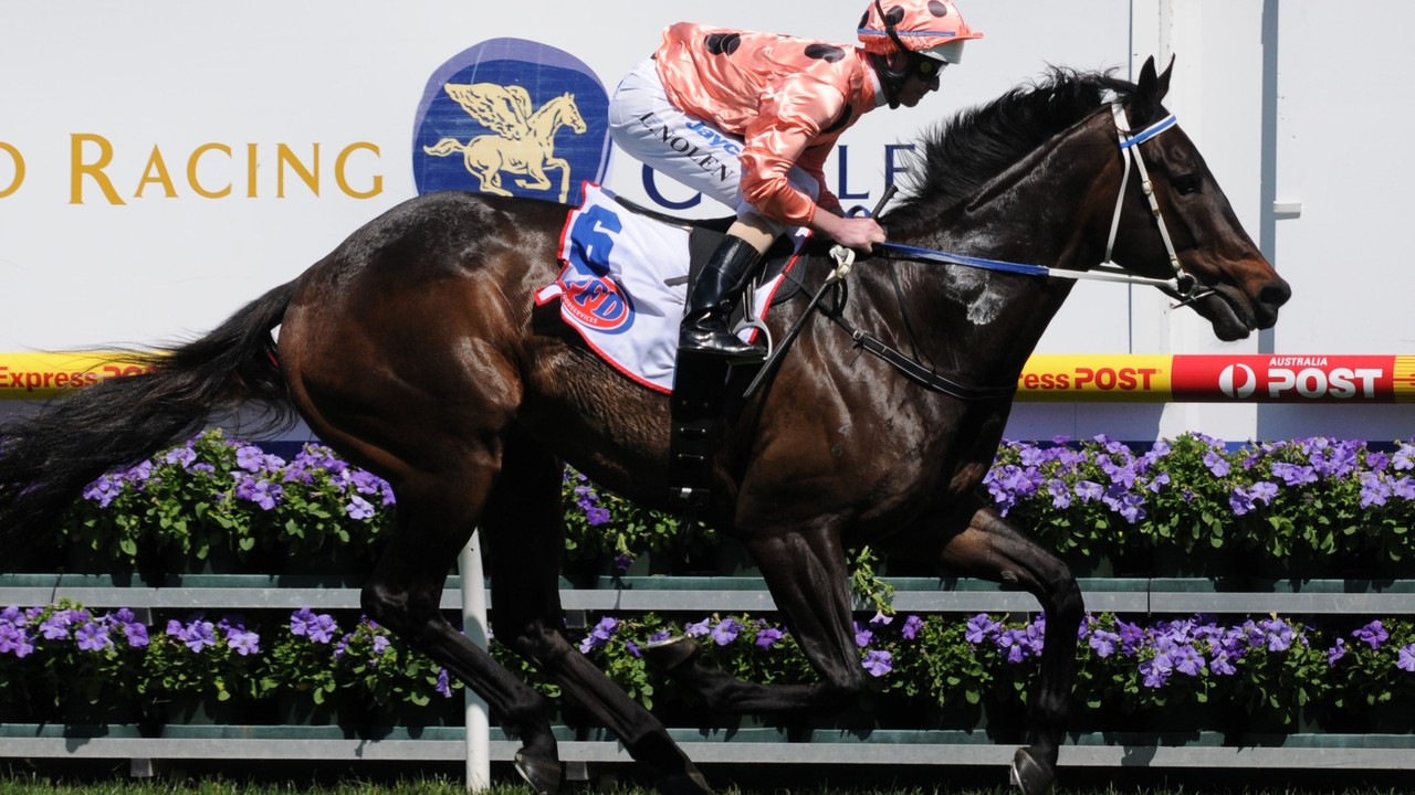 End Of An Era: Black Caviar Leaves An Indelible Mark On ... Image 1