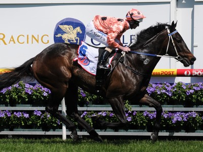 End Of An Era: Black Caviar Leaves An Indelible Mark On ... Image 1