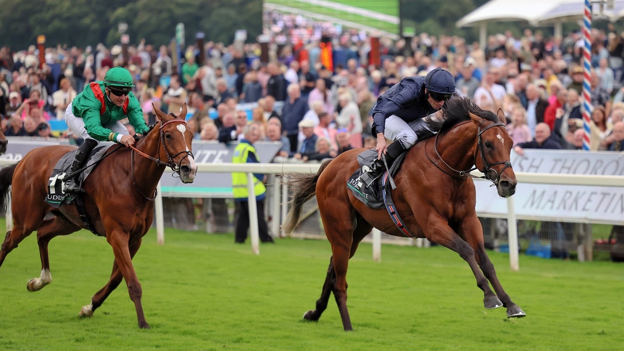 City Of Troy Sets York Ablaze In Juddmonte International ... Image 1