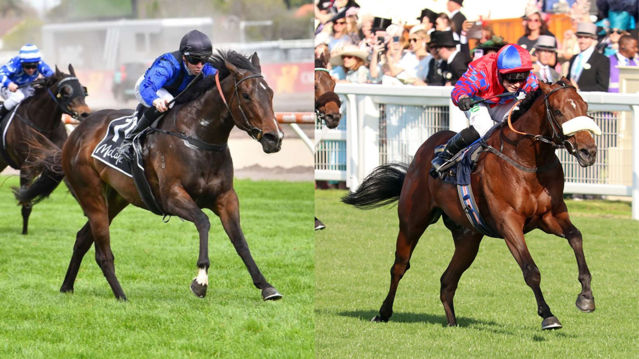 Asfoora and Big Evs Set for Epic Showdown in Gr.1 Nunthorpe Image 1