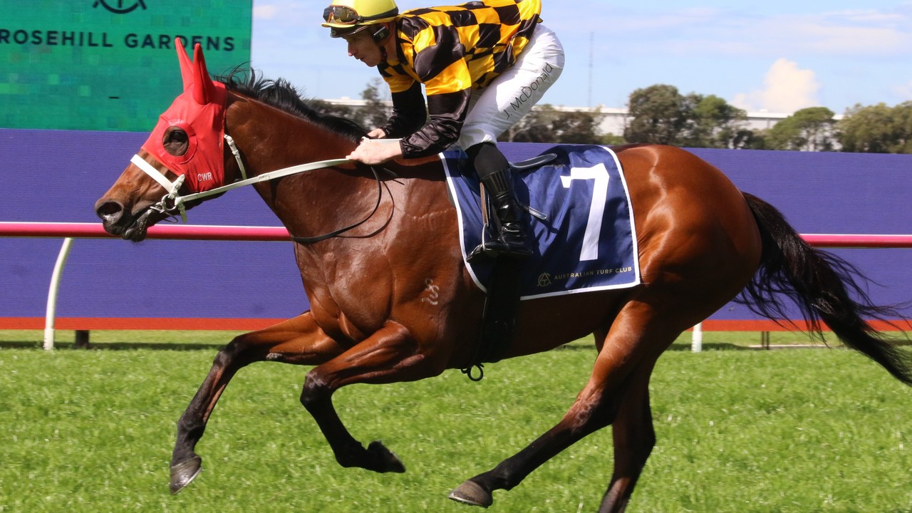 Joliestar's Everest Bid Hinges on Show County Performance Image 1