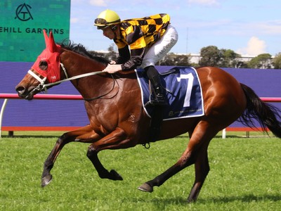 Joliestar's Everest Bid Hinges on Show County Performance Image 1