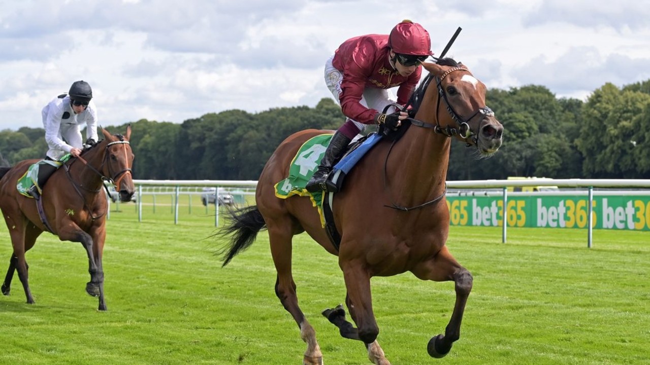 Royal Runner Aims to Reign Supreme in Yorkshire Oaks Image 1