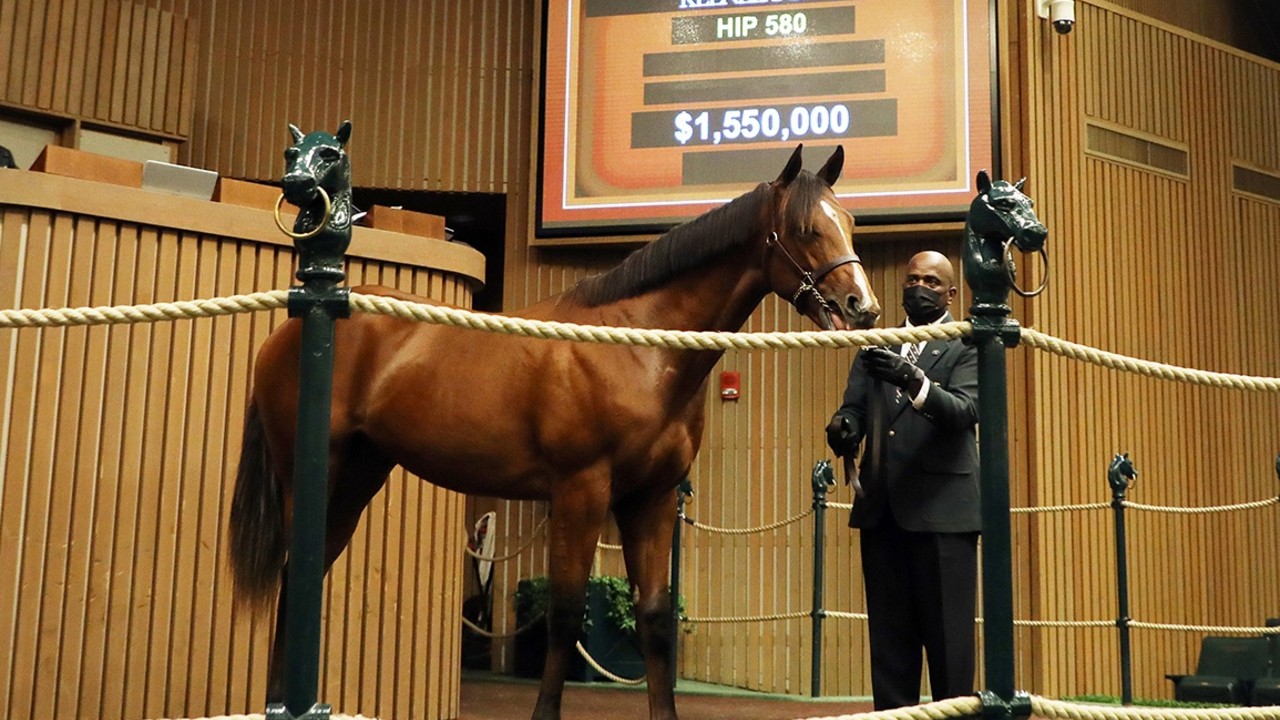 Justify Colt Bolsters Keeneland September Sale Opener Image 1