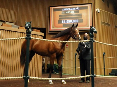 Justify Colt Bolsters Keeneland September Sale Opener Image 1