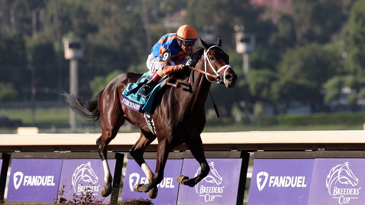 Fierceness Fires Warning Shot for Breeders' Cup Classic ... Image 1