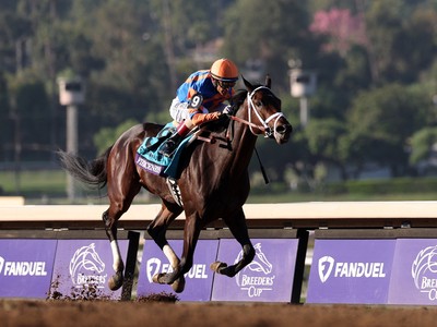 Fierceness Fires Warning Shot for Breeders' Cup Classic ... Image 1