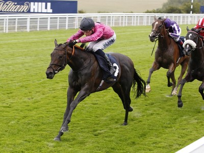 Anshoda On Course For Breeders' Cup Glory Image 1