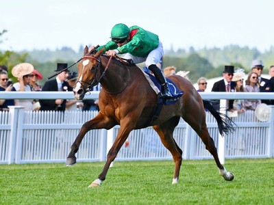 Champion Stakes Beckons For French Sensation Calandagan Image 1