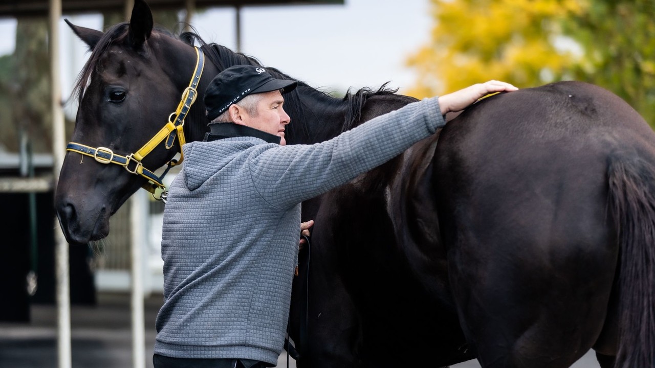 Warren's Decade-Long Quest For Group One Glory Image 1