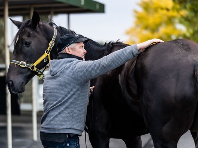 Warren's Decade-Long Quest For Group One Glory Image 1