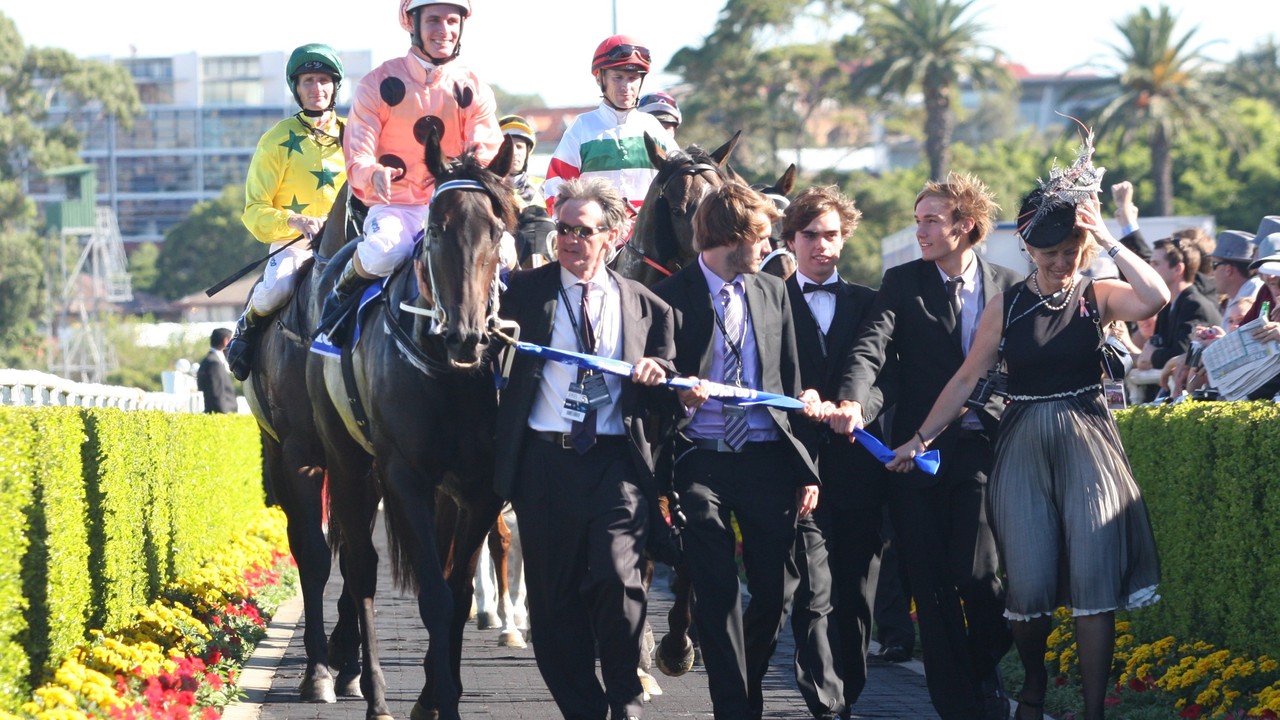 Black Caviar's Legacy: A Racing Legend Lost Image 1