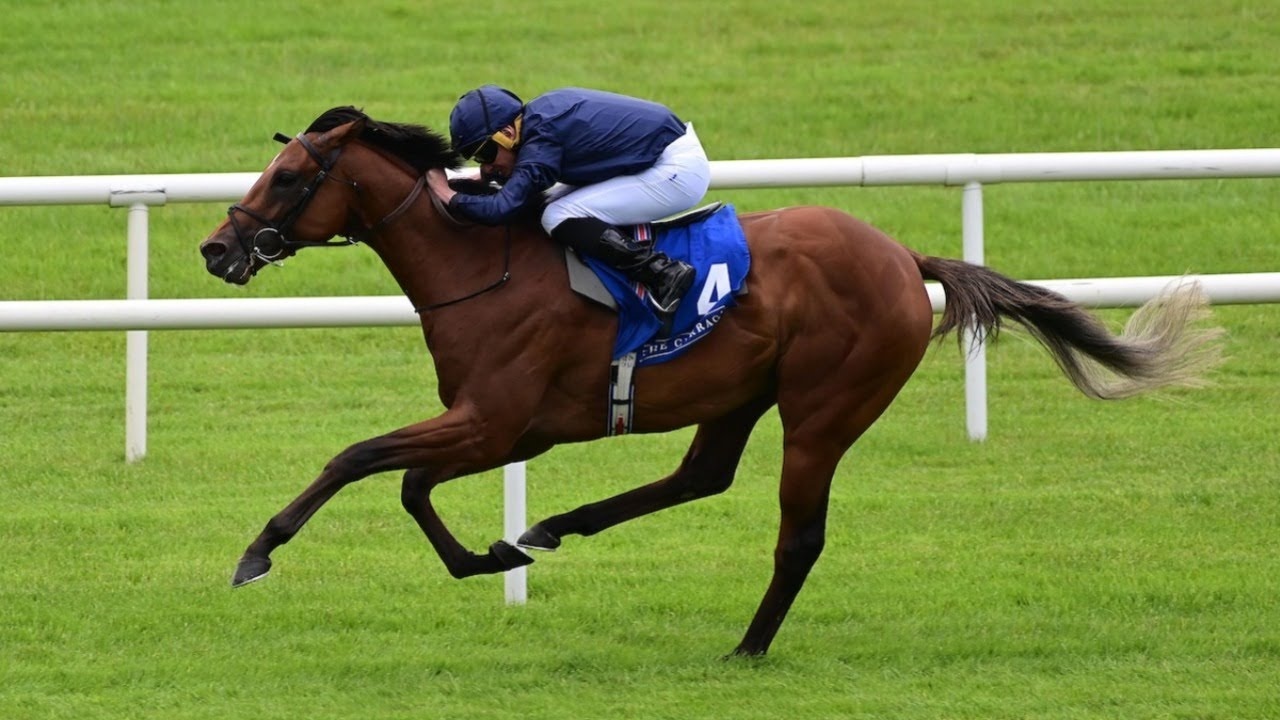 City Of Troy Set For Crucial Southwell Workout Ahead Of ... Image 1