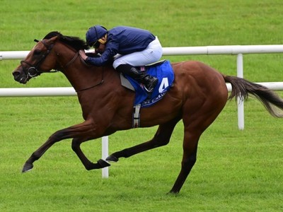 City Of Troy Set For Crucial Southwell Workout Ahead Of ... Image 1