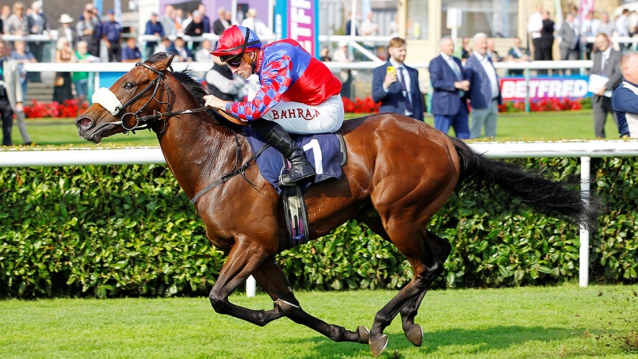 Big Evs Aiming For Glorious Breeders' Cup Swansong Image 1