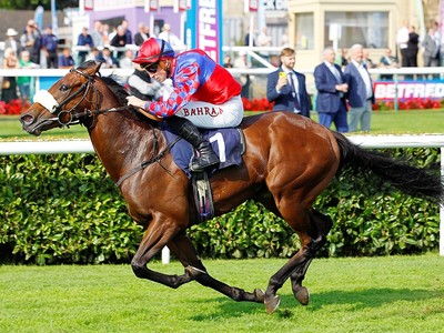 Big Evs Aiming For Glorious Breeders' Cup Swansong Image 1