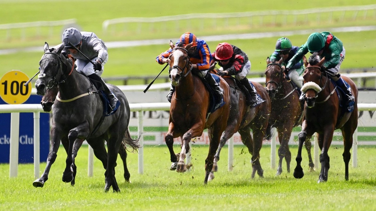 Wathnan Racing Secure Irish Classic Heroine Fallen Angel Image 1