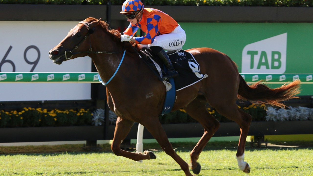 Speedy Johnny Rocker Primed For Gr.1 Moir Stakes Showdown Image 1