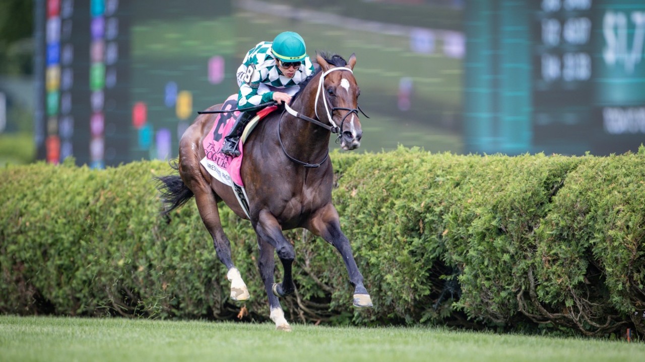 Nobals And Cogburn Set for Turf Sprint Showdown At Kentucky ... Image 1