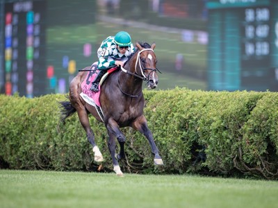 Nobals And Cogburn Set for Turf Sprint Showdown At Kentucky ... Image 1