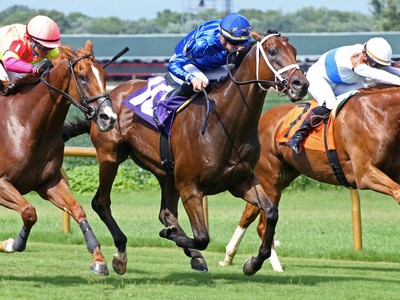 Highway Robber Set To Steal The Show In Kentucky Turf Cup Image 1