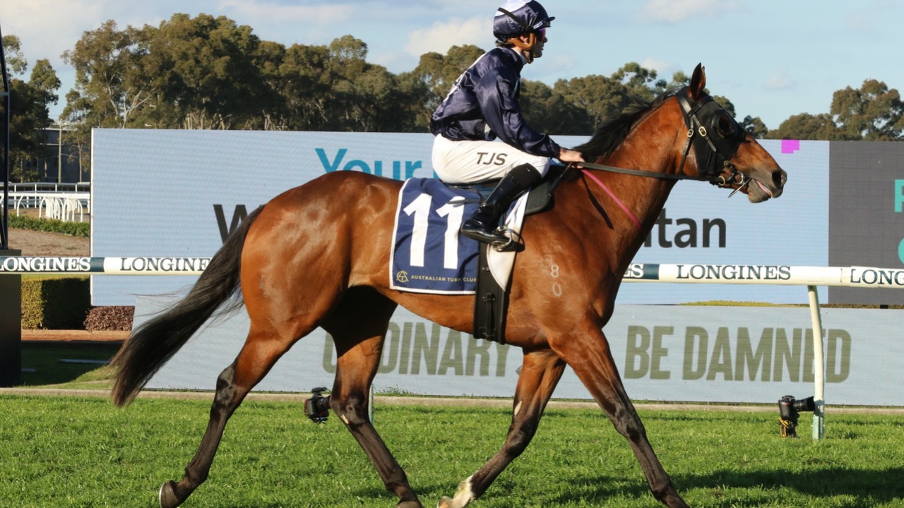 Freedman's Moravia Set for Concorde Challenge Image 1