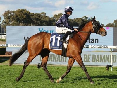 Freedman's Moravia Set for Concorde Challenge Image 1