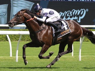 Caballus Primed For Group One Debut At The Valley Image 1