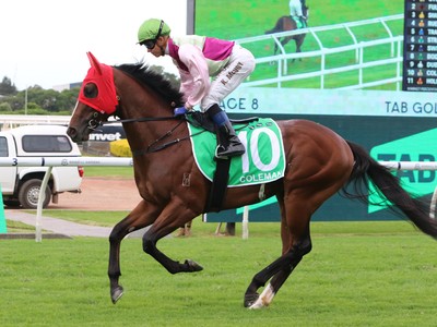 Coleman Seeks Group One Glory In Moir Stakes Return Image 1