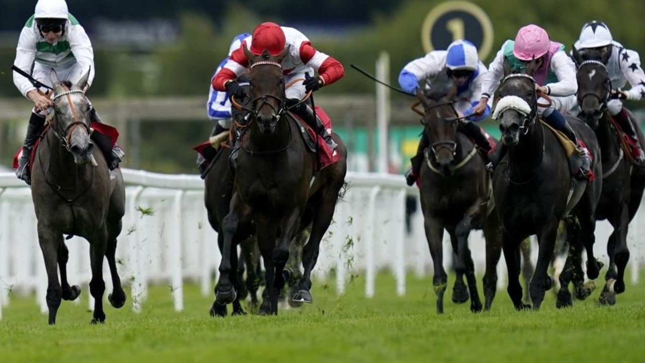 European Two-Year-Olds Eyeing Breeders' Cup Glory Image 1