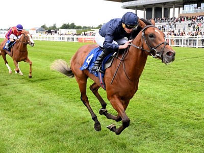 City Of Troy Set For Southwell Spin Ahead of Breeders' Cup ... Image 1