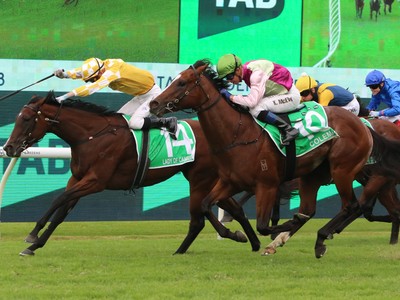 Preview- Moir Stakes Day At The Valley: Speed And Class On ... Image 1