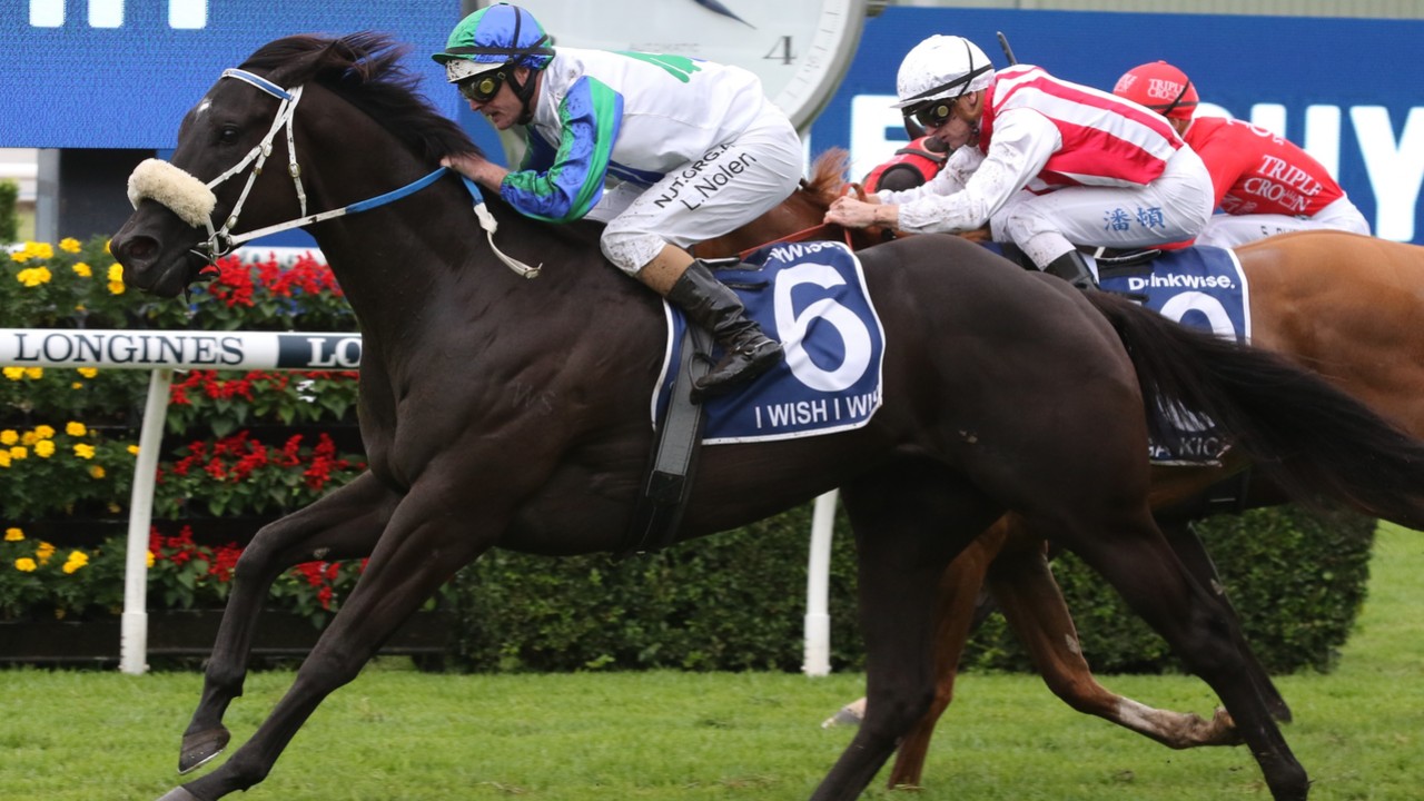 I Wish I Win Primed for Moir Stakes Assault Image 1