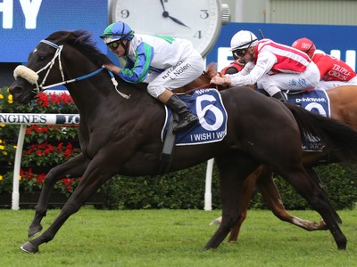 I Wish I Win Primed for Moir Stakes Assault Image 1