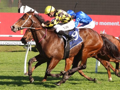 Concorde Stakes Set To Scorch Royal Randwick's 1000m Track- ... Image 1