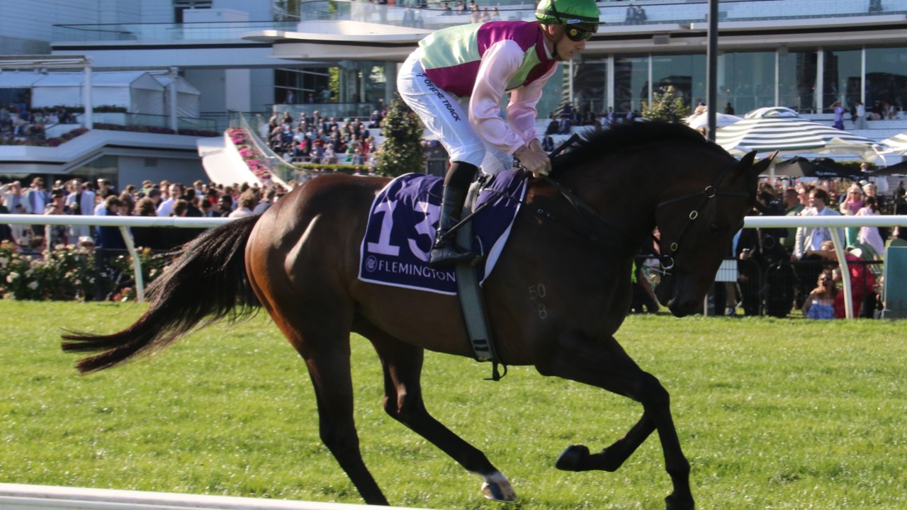 Mornington Glory Secures Stunning Gr.1 Moir Stakes Victory ... Image 1