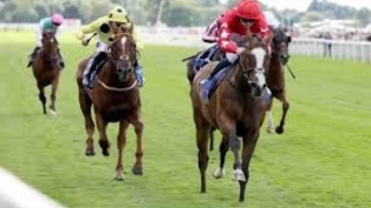 Spirit Dancer Primed For Newmarket Prep Before Middle East ... Image 1