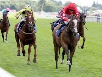 Spirit Dancer Primed For Newmarket Prep Before Middle East ... Image 1