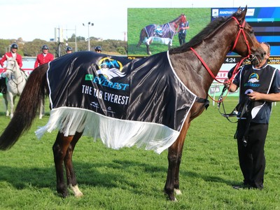 Top Sprinters Shine In Crucial Randwick Trials Ahead Of The ... Image 1