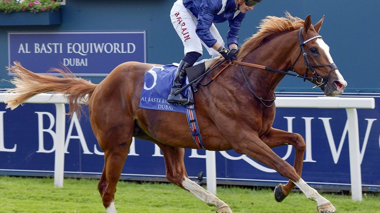 Irish Champion Stakes Showdown Looms As Big Names Stand ... Image 1